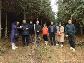百千万工程助力乡村振兴