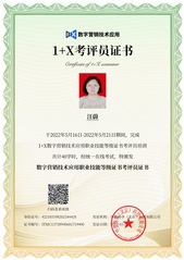 数字营销技术应用职业技能等级证...
