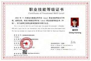 大数据应用开发(Java)职业...