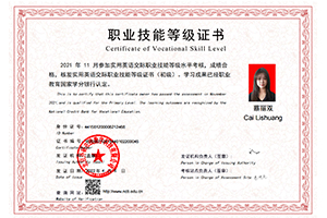 职业技能等级证书1+x实用英语...