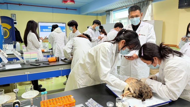 动物疫病检疫检验技能大赛校赛圆...