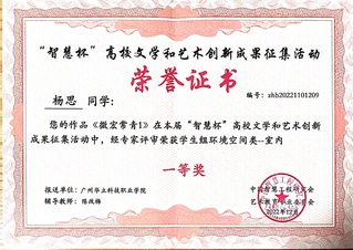 指导学生获“一等奖”