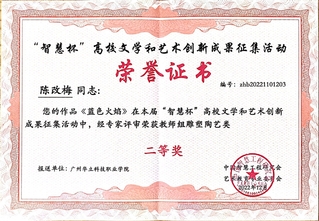 二等奖证书