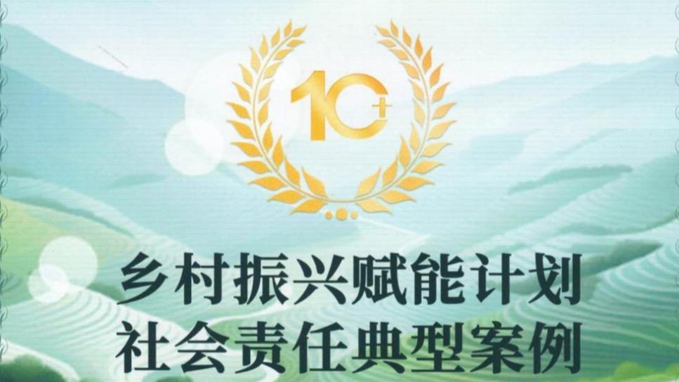 乡村振兴赋能计划社会责任典型案...