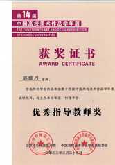 优秀指导教师奖