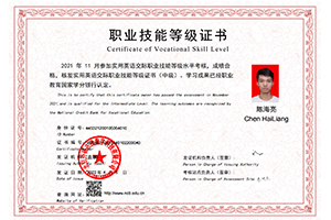 职业技能等级证书1+x实用英语...
